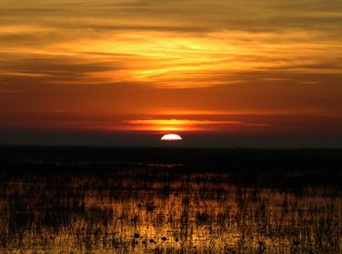 Sunrise over Louisiana wetlands