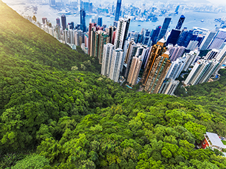 Hong Kong skyline meets the bordering forest. 